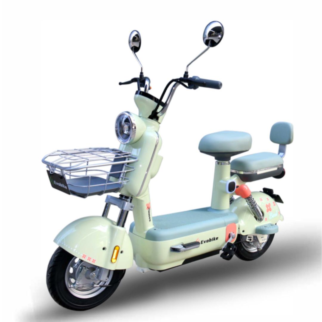 Bicicleta electrica primavera